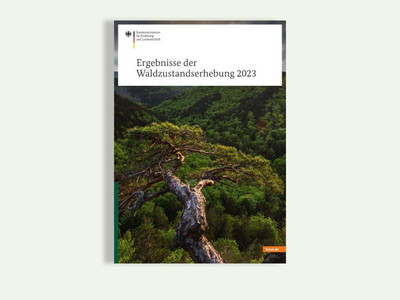 Ergebnisse der Waldzustandserhebung 2023 Die Bäume in Deutschland leiden unter den Folgen der Klimakrise. Dürre und hohe Temperaturen – aber auch der Befall mit Parasiten – setzen den Wäldern zu. Die jährliche Waldzustandserhebung dokumentiert seit den 1980er-Jahren, wie sich der Wald unter den oben genannten Bedingungen verändert. Foto: BMEL