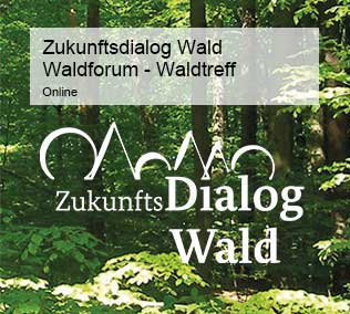 Banner Zukunftsdialog Wald - Quelle: FNR/Wildermann und BMEL