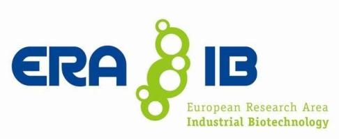 Logo ERA-IB