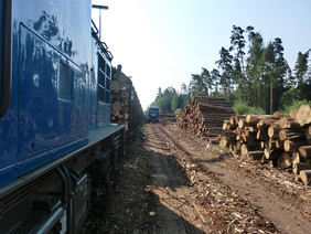 Mit dem Verlegen der Holztransporte von der Straße auf die Schiene lassen sich bis zu 90 Prozent Emissionen einsparen. Foto: DB AG/Martin Fiebig
