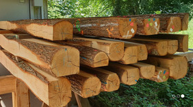Bei gleicher Dimension weisen Rundhölzer mit unverletzten Fasern um 30 Prozent höhere Festigkeitswerte auf als gesägtes Holz. Quelle: hs-mainz