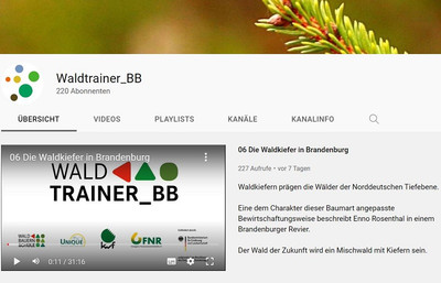 Das Projekt „Waldtrainer_BB“ aus dem Förderprogramm „Nachwachsende Rohstoffe“ bietet walddidaktischer Inhalte als Schulungs- und Seminarvideos an, anzusehen auf dem  projekteigenen YouTube-Kanal. Quelle: YouTube-Kanal von Waldtrainer_BB