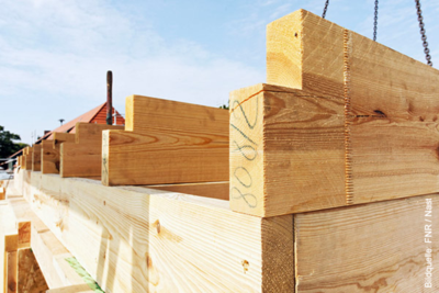 Für Beratungsleistungen und Unternehmensinitiativen zum klimafreundlichen Holzbau stellt das BMEL Fördermittel aus dem Konjunkturpaket bereit. Foto: FNR/Michael Nast