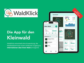 Die WaldKlick App möchte kleinen Privatwaldbesitzenden bei der nachhaltigen Nutzung ihrer Waldflächen unterstützen. Eine breitangelegte Umfrage unter Nutzenden und Interessierten soll bei der Priorisierung von Funktionen der WaldKlick App helfen. Bild: www.waldklick.de 