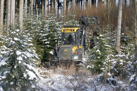 In Wäldern mit Schutzstatus müssen Bäume, obwohl sie in Kranreichweite stehen, häufig motormanuell gefällt werden, weil dichte Verjüngung die Sicht einschränkt. Foto: LWF/ Christian Winter