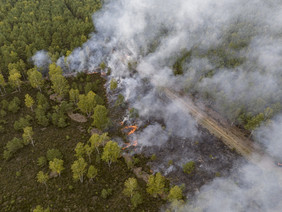 Wie mit der steigenden Waldbrandgefahr umzugehen ist, erforschen verschiedene Waldklimafonds-Projekte. Bisherige Erkenntnisse wurden im Mai auf der Waldbrand-Fachtagung vorgestellt. Foto: Axel Schmidt