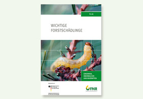 Die Broschüre „Wichtige Forstschädlinge“ liegt in der Mediathek der FNR zum Bestellen und zum Download bereit. Bildquelle: FNR/2022