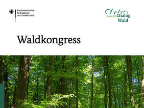 Der Waldkongress am 30. Mai in Berlin ist auf dem Weg zur Entwicklung der neuen Waldstrategie ein wichtiger Schritt und Abschluss des Zukunftsdialogs Wald. Foto: BMEL und FNR/Siria Wildermann