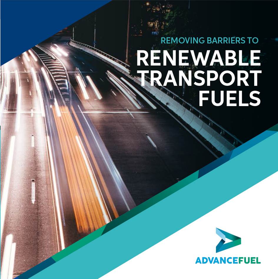 Removing barriers to renewable transport fuels